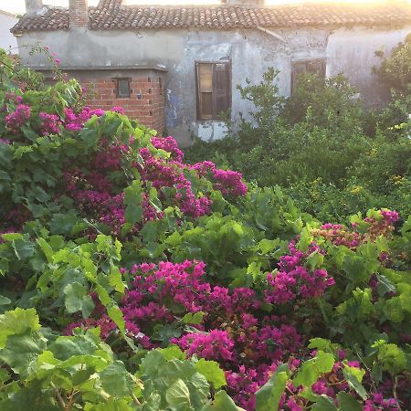 Parmis Rooms Cesme Bagian luar foto